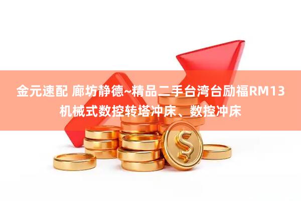 金元速配 廊坊静德~精品二手台湾台励福RM13机械式数控转塔冲床、数控冲床