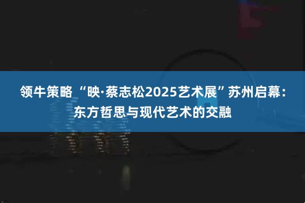 领牛策略 “映·蔡志松2025艺术展”苏州启幕：东方哲思与现代艺术的交融
