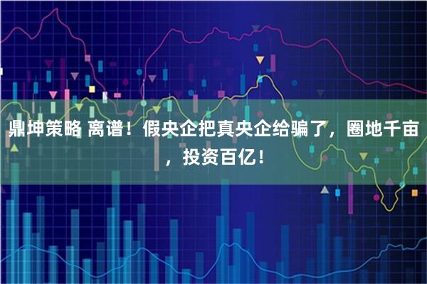 鼎坤策略 离谱！假央企把真央企给骗了，圈地千亩，投资百亿！