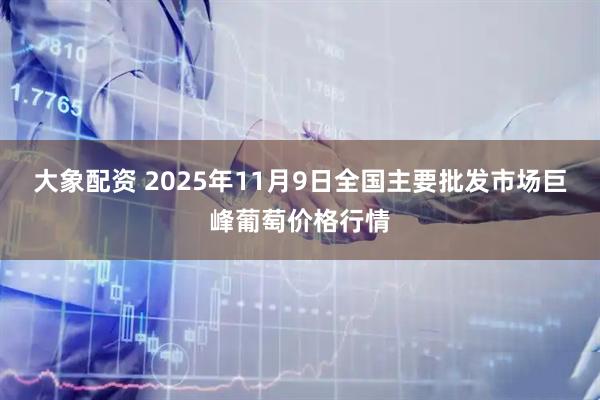 大象配资 2025年11月9日全国主要批发市场巨峰葡萄价格行情