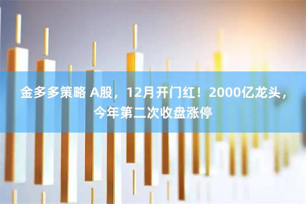 金多多策略 A股，12月开门红！2000亿龙头，今年第二次收盘涨停