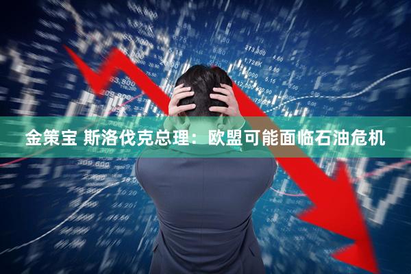 金策宝 斯洛伐克总理：欧盟可能面临石油危机